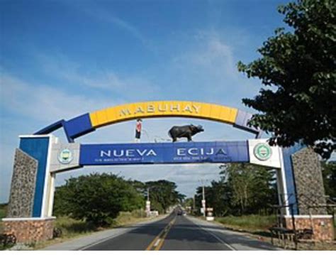 (NUEVA ECIJA)~(BUY & SELL) .